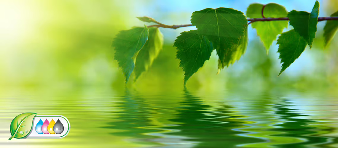 Ökologische Wandbilder Green Products – nachhaltige Materialien der Bilder Manufaktur Hamburg